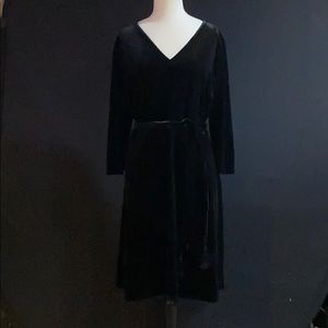 J Jill vNeck Velvet Dress Size L NWT